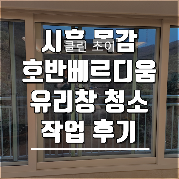 클린초이 이미지