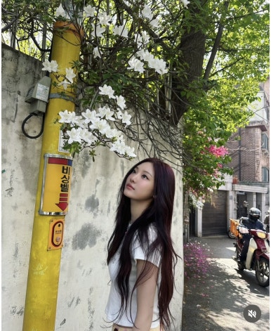 머리염색전문샵 이미지