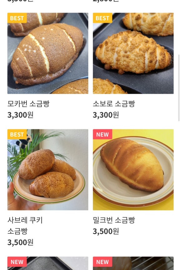 돔박;달 이미지