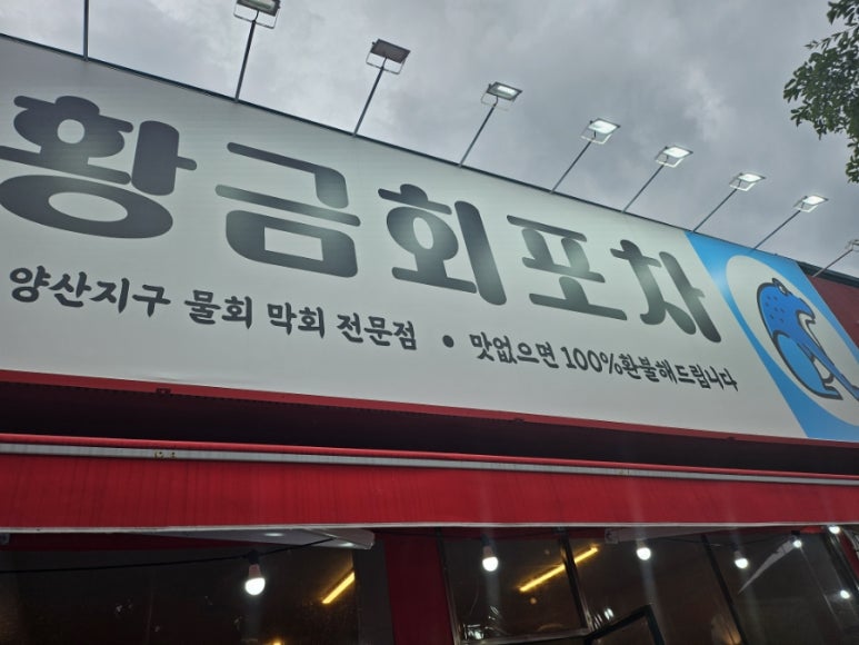 황금회포차 이미지