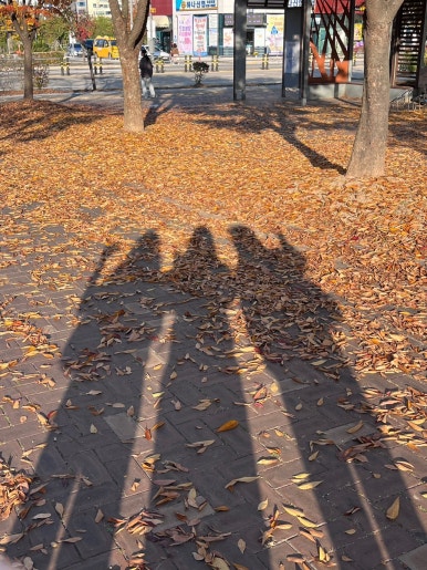 또또행복 이미지