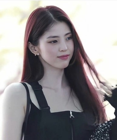 하우헤어 이미지