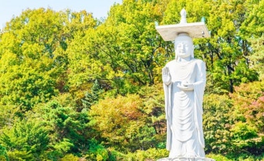 영화당 이미지