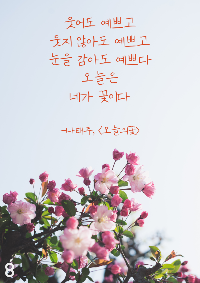 오늘도예쁘다 이미지