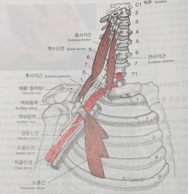 누리담한의원 이미지
