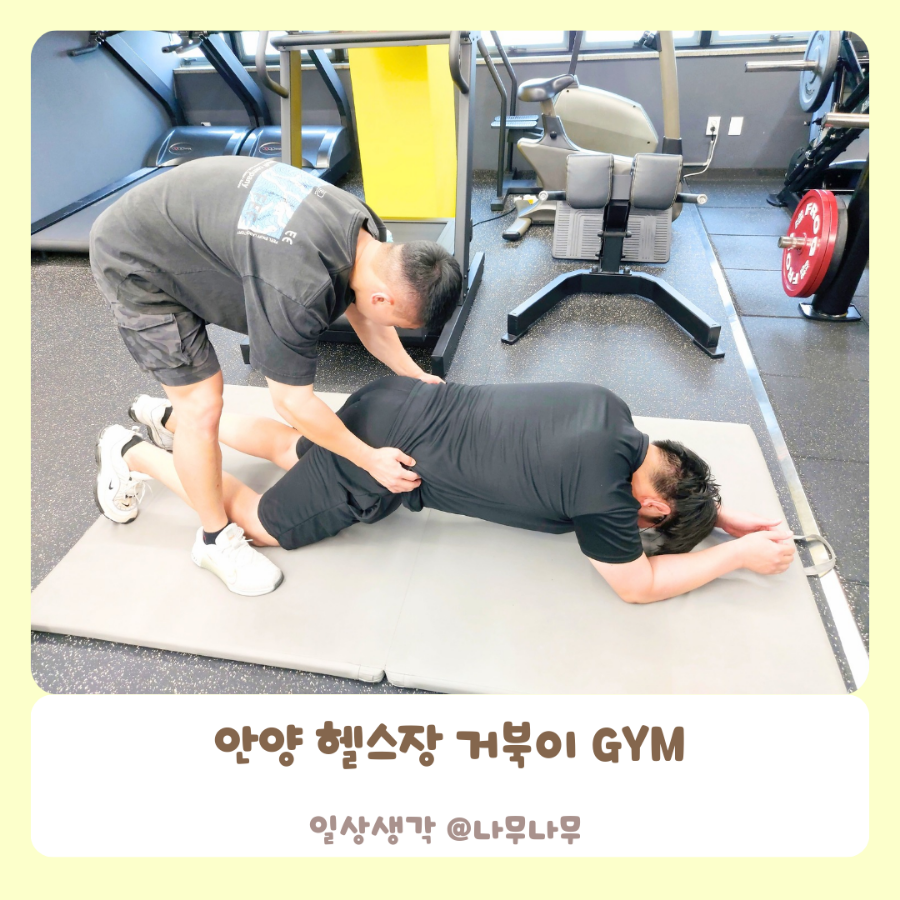 거북이GYM 이미지