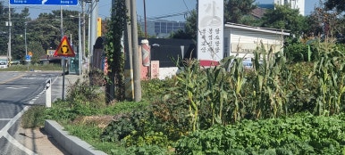 협성이용원 이미지