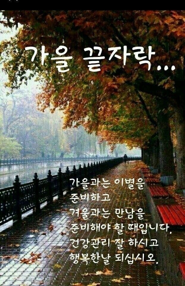 메리골드그룹 이미지