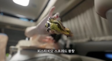 레자미오네뜨 이미지