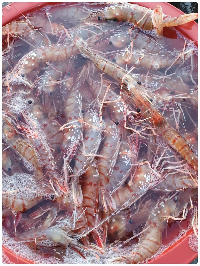 싱싱농수산 이미지