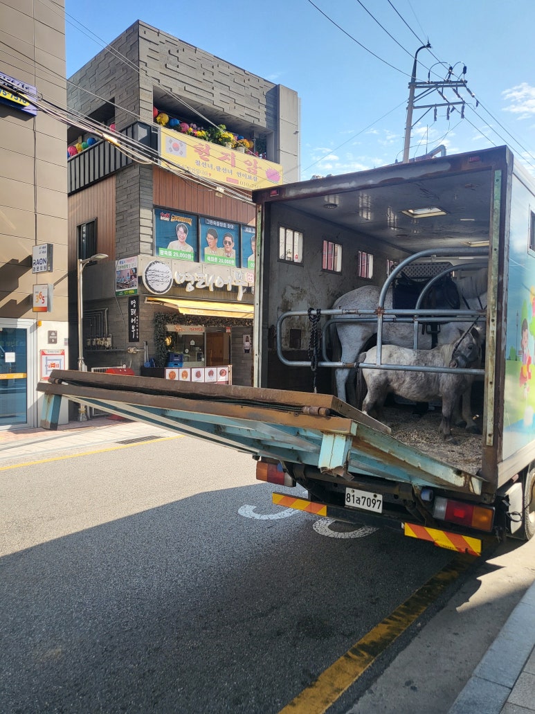 말죽거리떡방 사진 6