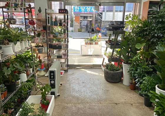 플로라디자인하우스 이미지