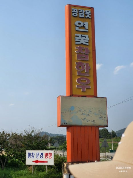 공갈못연꽃한우촌 이미지