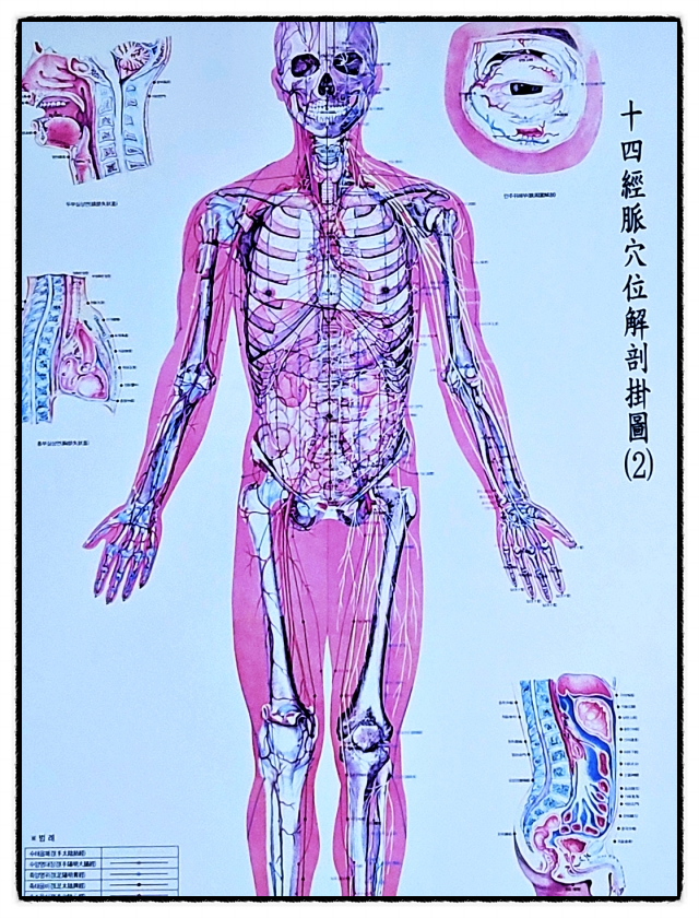 약손힐링센타 이미지