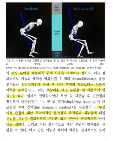 김나시온 이미지