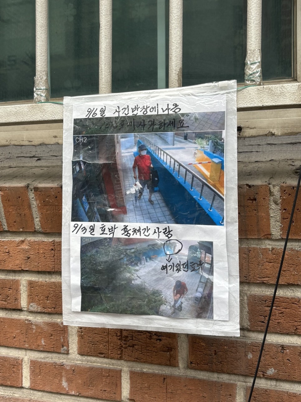 호박빨래방 이미지