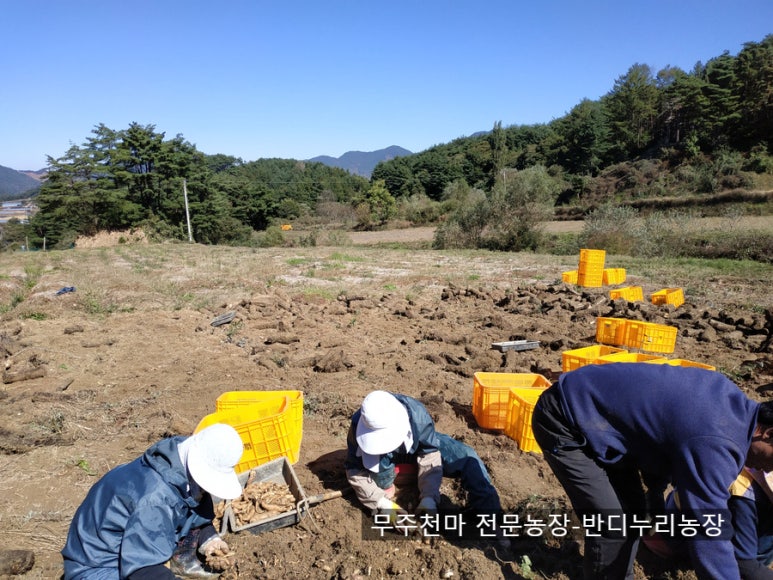 천마인력 이미지