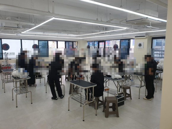 김지순애견미용학원 이미지