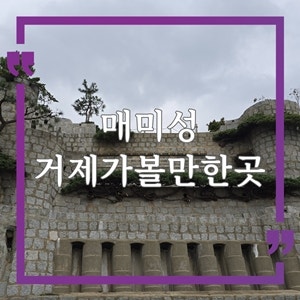 매미성코끼리조개전문일출횟집 이미지