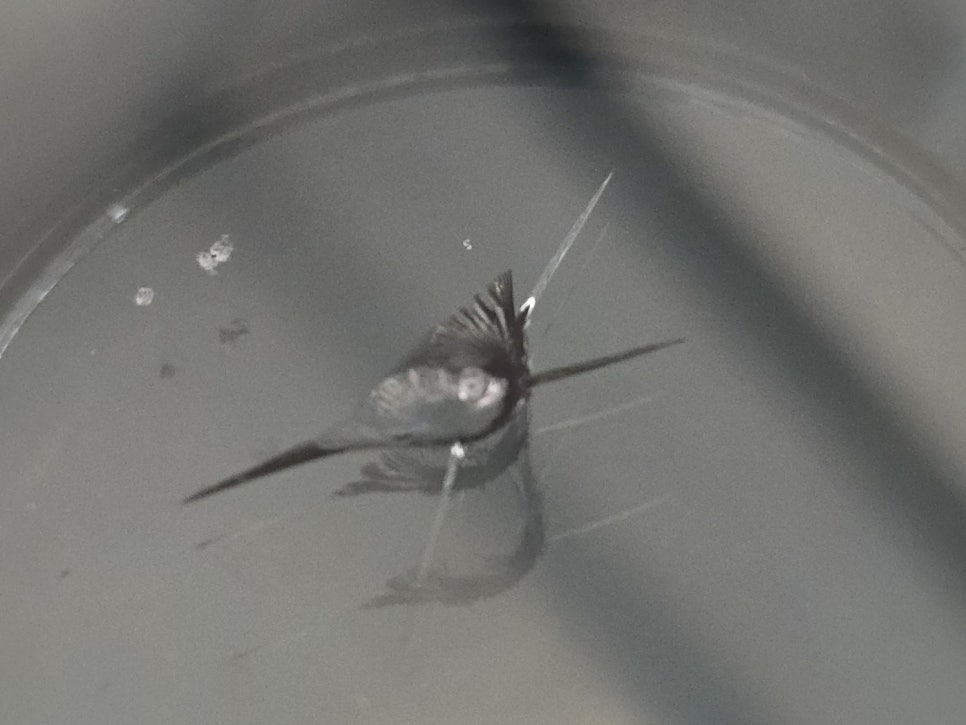 지티글래스 이미지