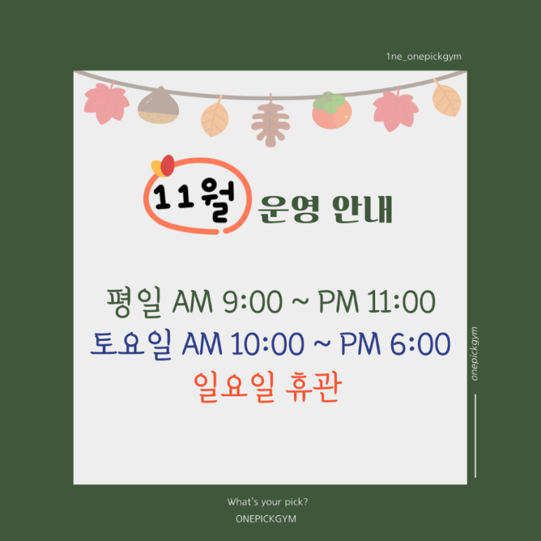원픽짐 이미지