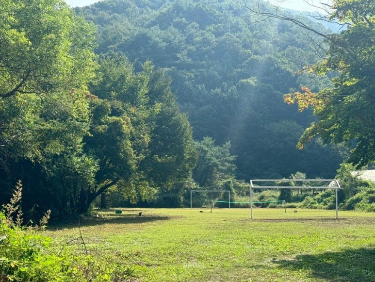 숲속의캐슬 이미지