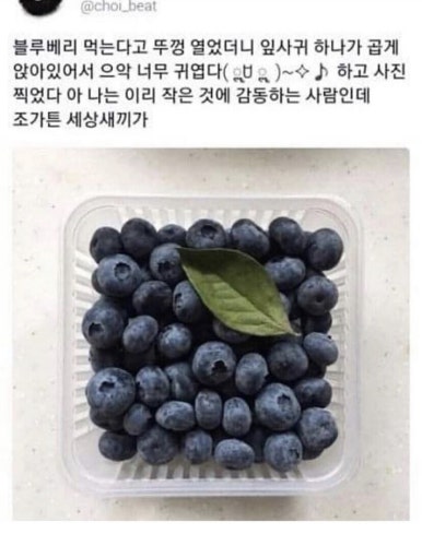 윤정이네 이미지