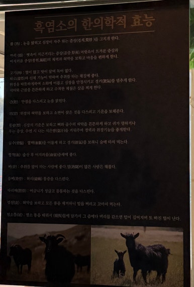 30년전통순이네염소 이미지