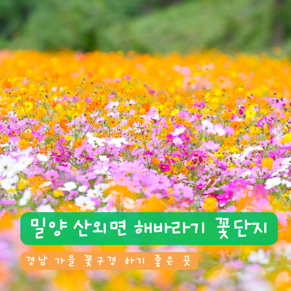 꽃뜰여행 이미지