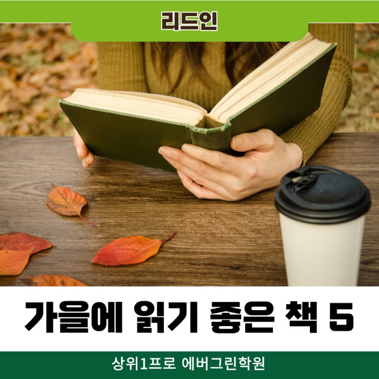 리드여행사 이미지