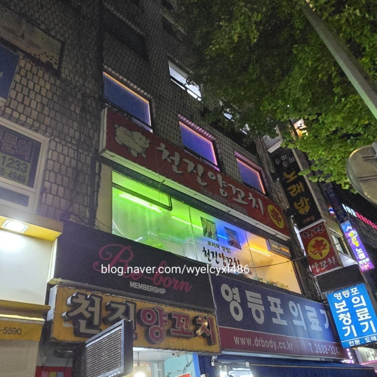 천진양꼬치 이미지