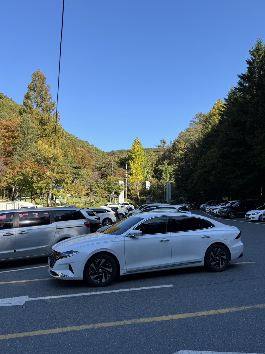 만인산 유아숲체험원 이미지