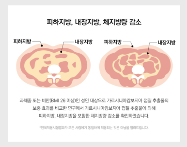 하우앤코 이미지