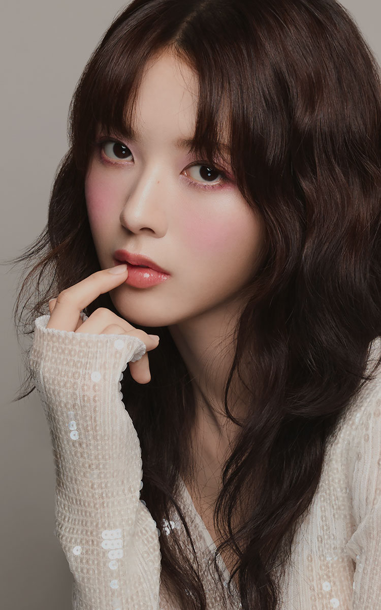 더비디 이미지