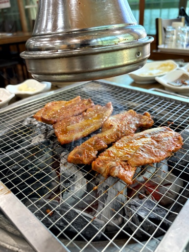 구이박사 이미지