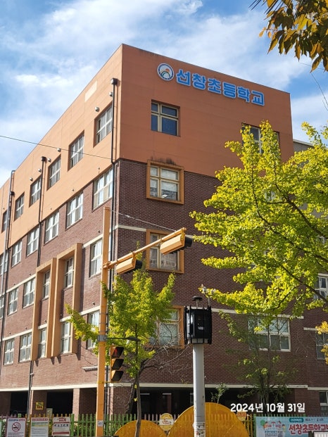 선창초등학교 이미지