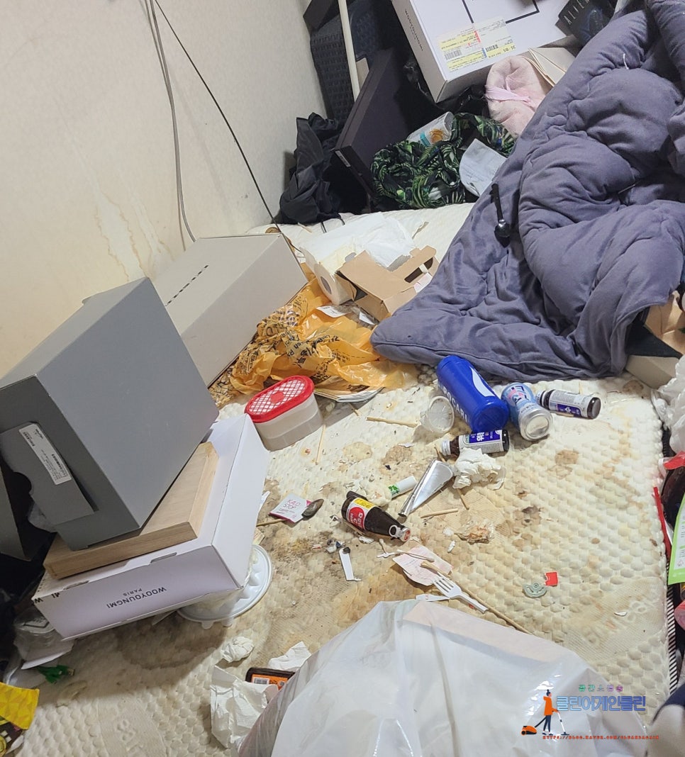 클린어게인 이미지