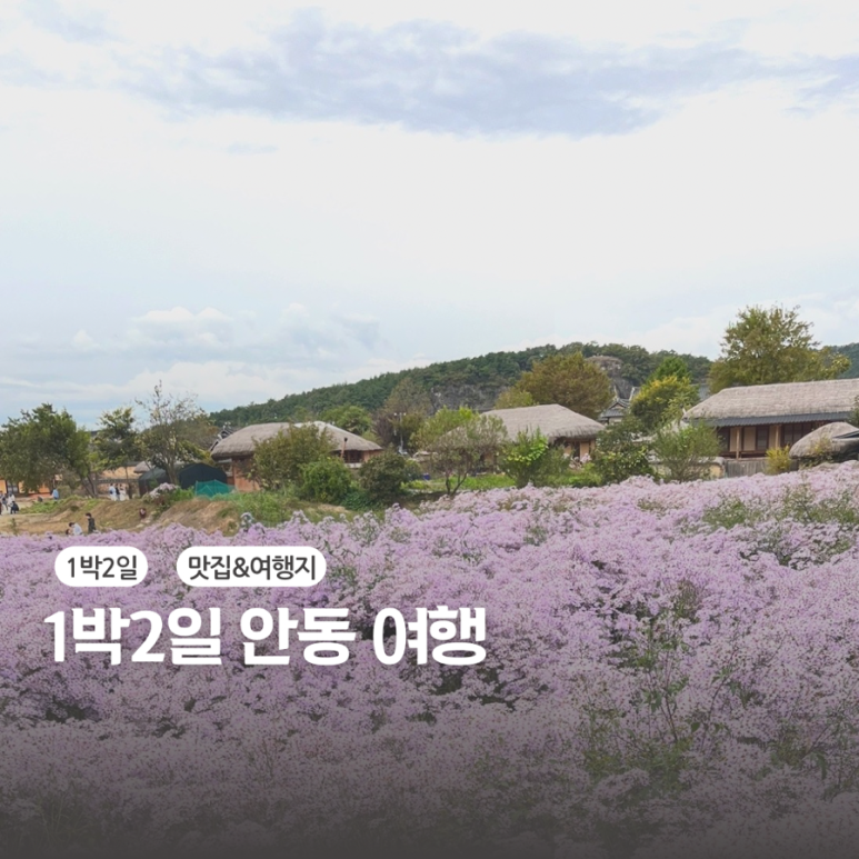 온계종택삼백당 이미지