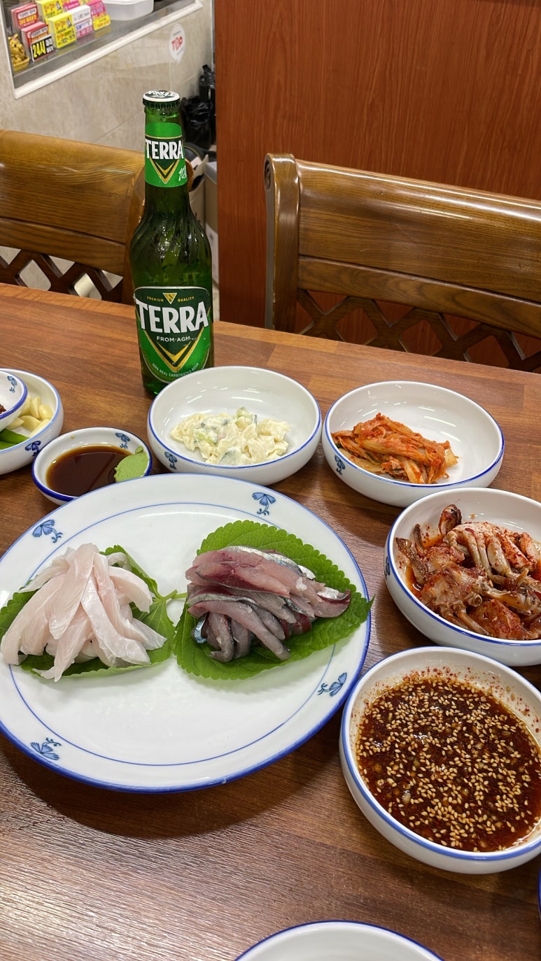 테라파시 이미지