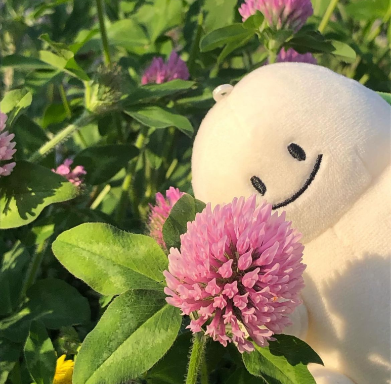 런던파크 이미지