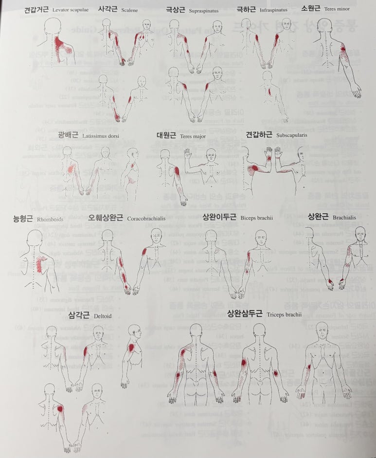누리담한의원 이미지