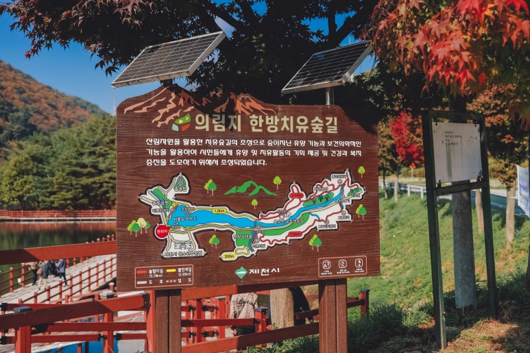 의픔장어 이미지