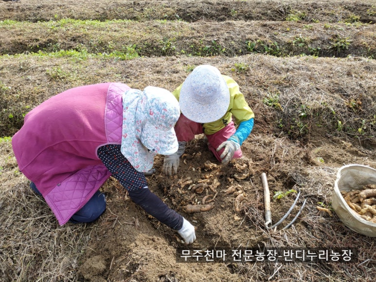 천마인력 이미지