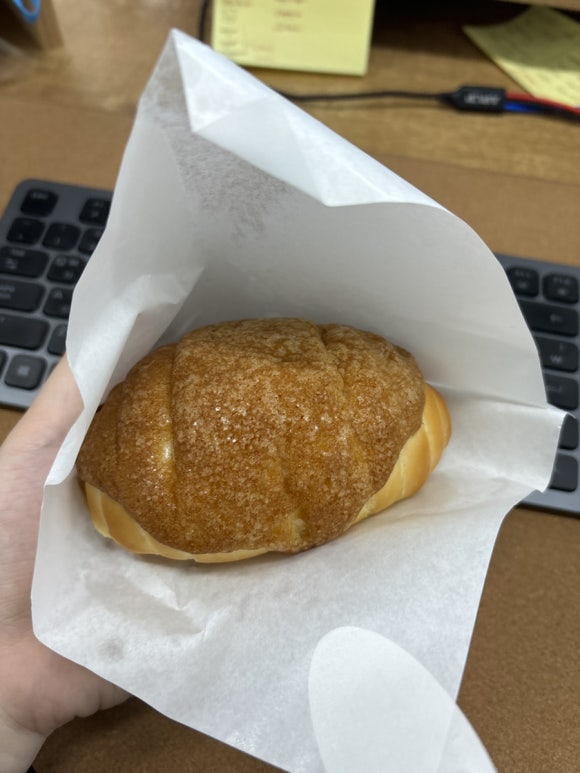 돔박;달 이미지