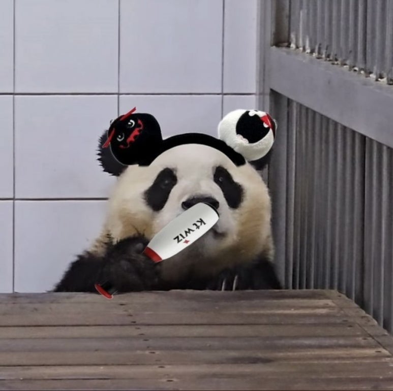 워터위즈 이미지
