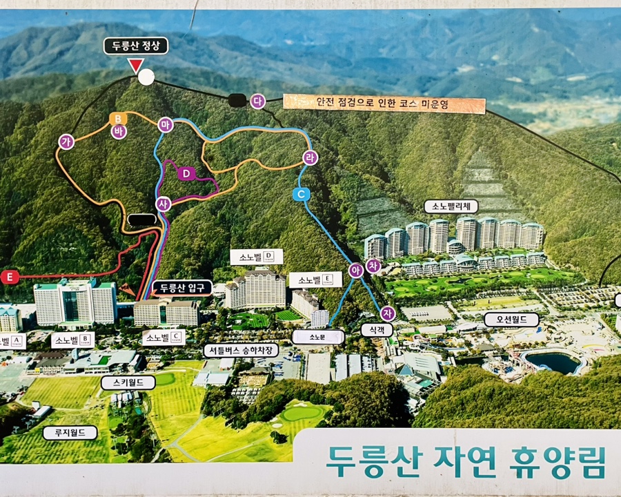 비바플렉스 이미지