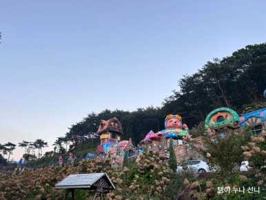 두두&두두민박 이미지