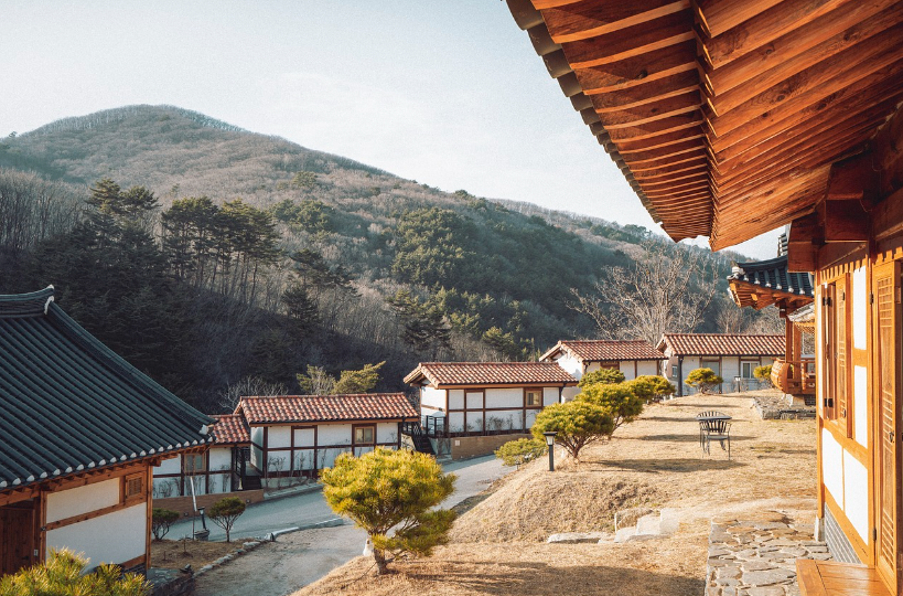 중소기업경영지원육성센터 이미지