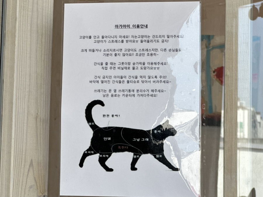 아가마미고양이카페 이미지