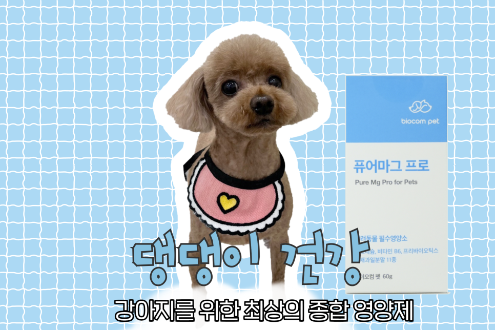 우리집 댕댕이를 위한 강아지 종합 영양제 추천, 퓨어마그 프로 이미지 2